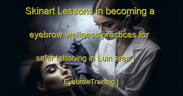 Skinart Lessons in becoming a eyebrow wellness practices for safer tattooing in Luin area | EyebrowTraining | EyebrowClasses | SkinartTraining-Burkina Faso